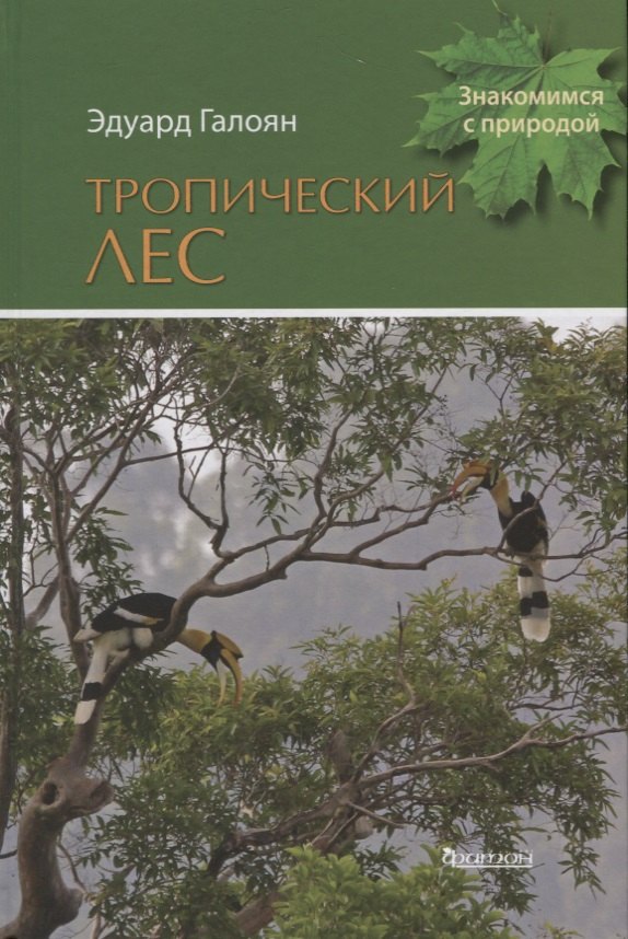 

Тропический лес