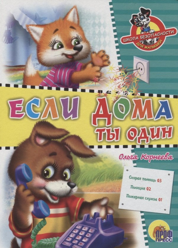 

Школа безопасности. Если дома ты один