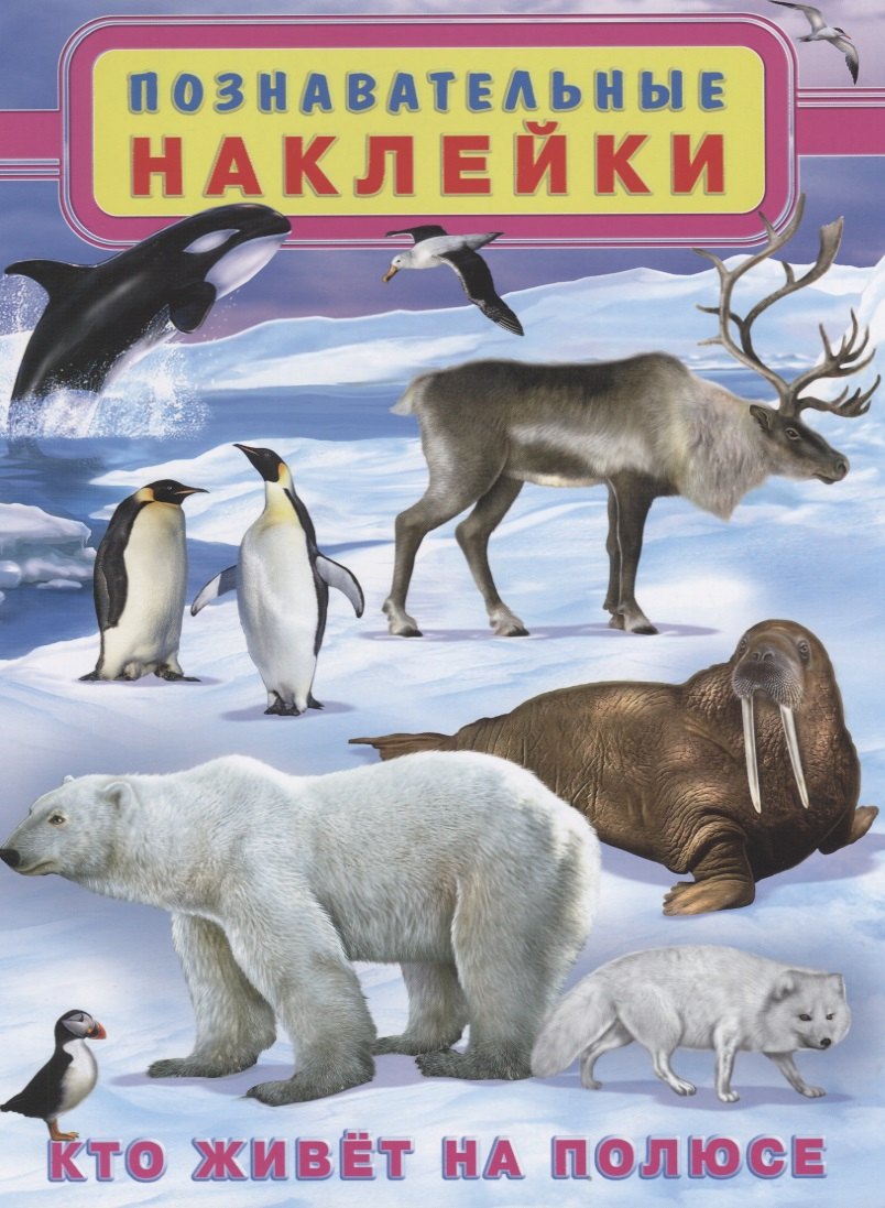

Кто живет на полюсе (мПозНакл)