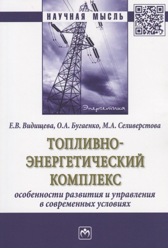 

Топливно-энергетический комплекс:особенности развития и управления в современных условиях