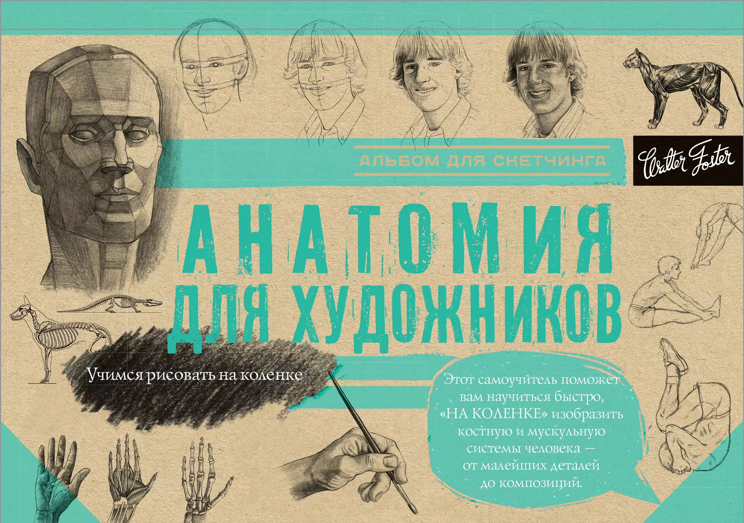 Книга художники автор. Джованни Чиварди анатомия для художника. Анатомия для художниковткнига. Книга по рисованию для художников. Книжки по анатомии для художников.