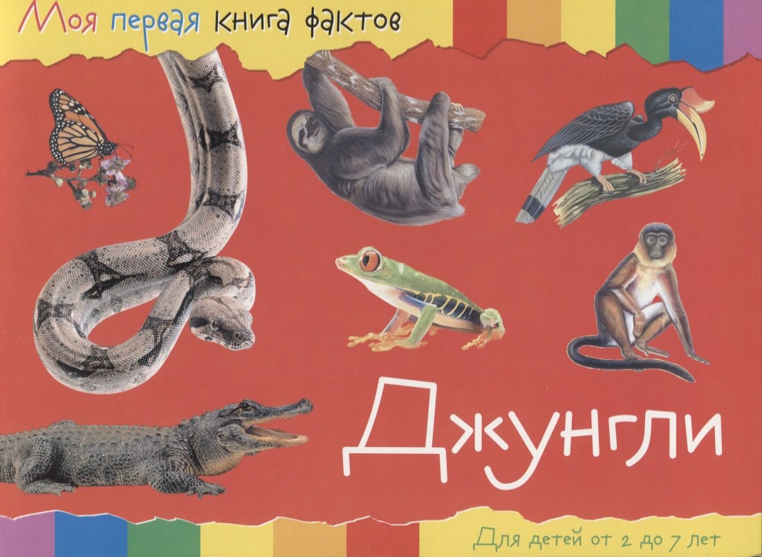 

Джунгли. Для детей от 2 до 7 лет