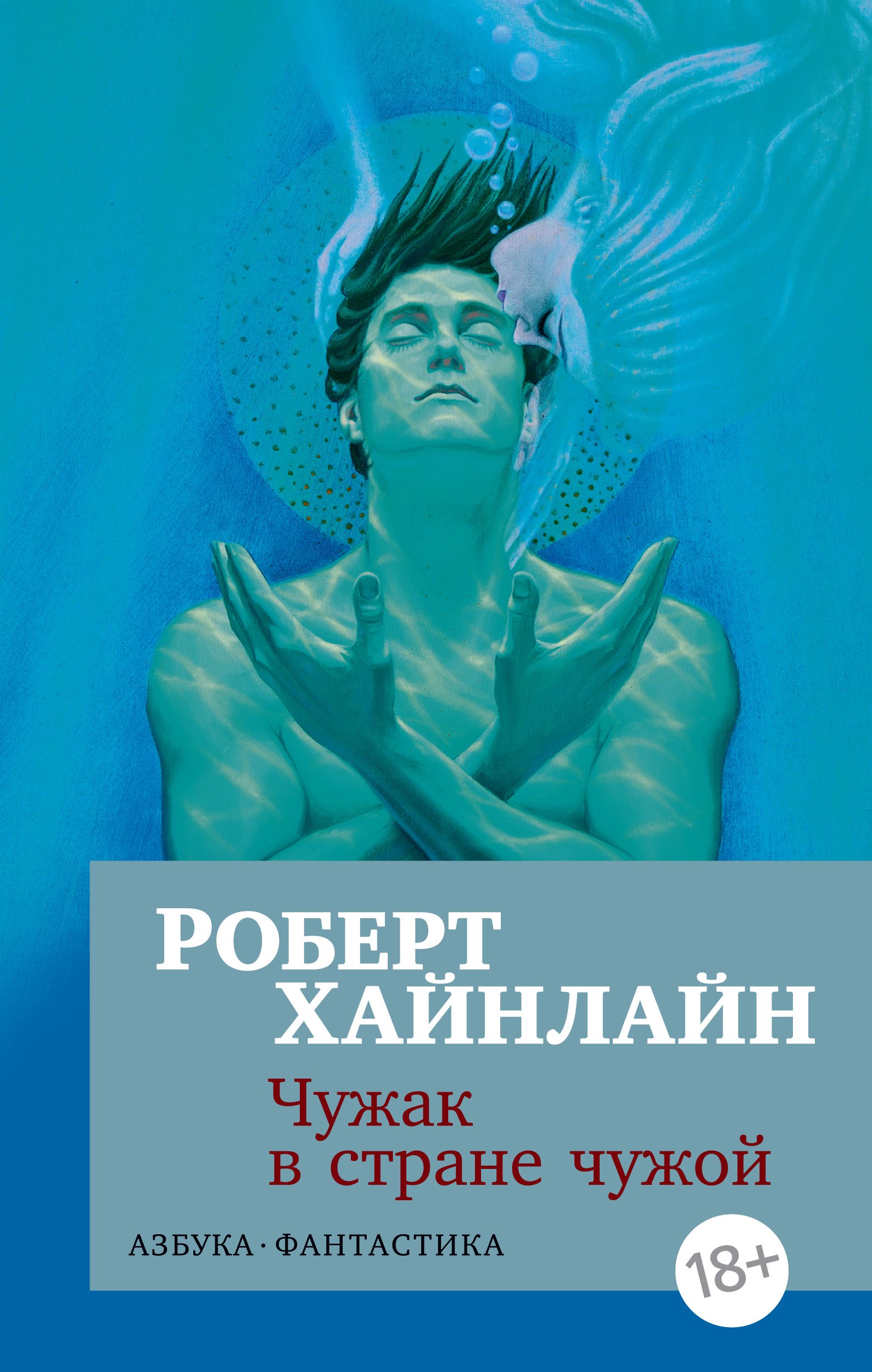 

Чужак в стране чужой