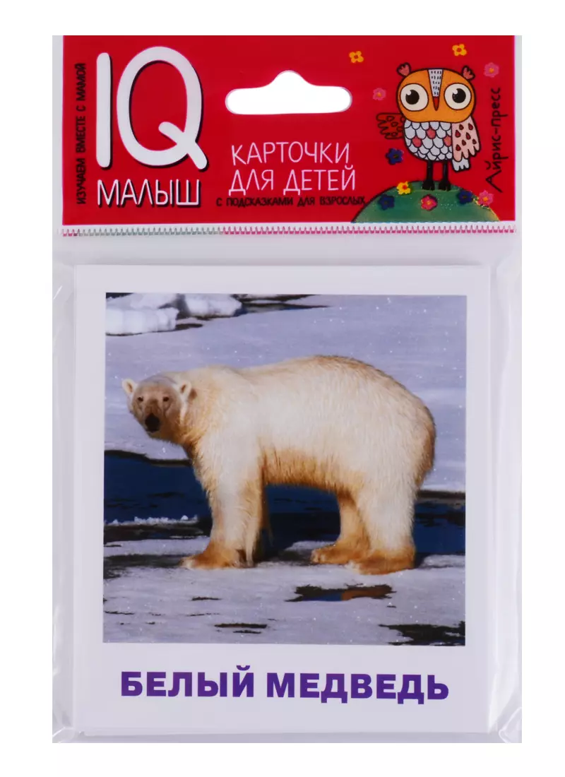 Ходюшина Н.П. - Умный малыш. Животные полярных широт. Набор карточек для детей.