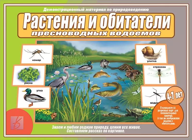 Виды природоведение. Обитатели водоемов для дошкольников. Демонстрационный материал. Обитатели водоемов демонстрационный материал. Растения и обитатели пресноводных водоемов.