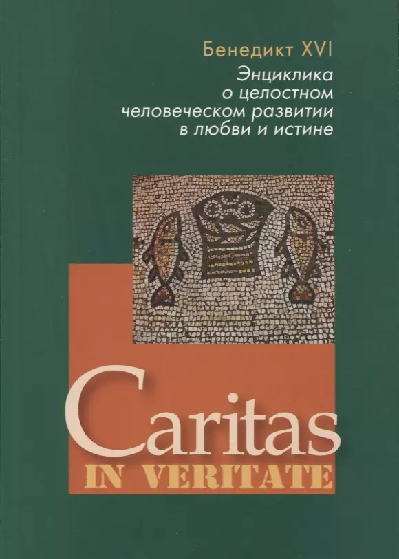 Энциклика это. Энциклика. Энциклики. Laudato si энциклика. Энциклика о братстве и социальной дружбе.