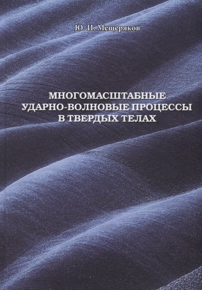 

Многомасштабные ударно-волновые процессы в твердых телах