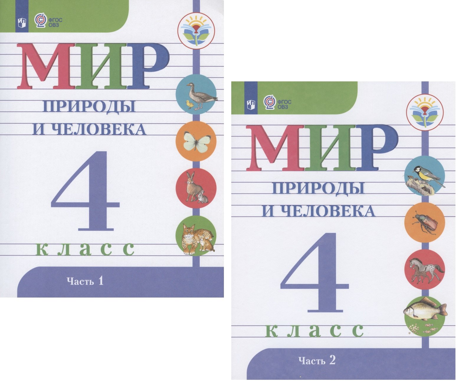 

Мир природы и человека. 4 класс. Учебник для обзеобразовательных организаций, реализующих адаптированные основные общеобразовательные программы. В 2 частях (комплект из 2 книг)