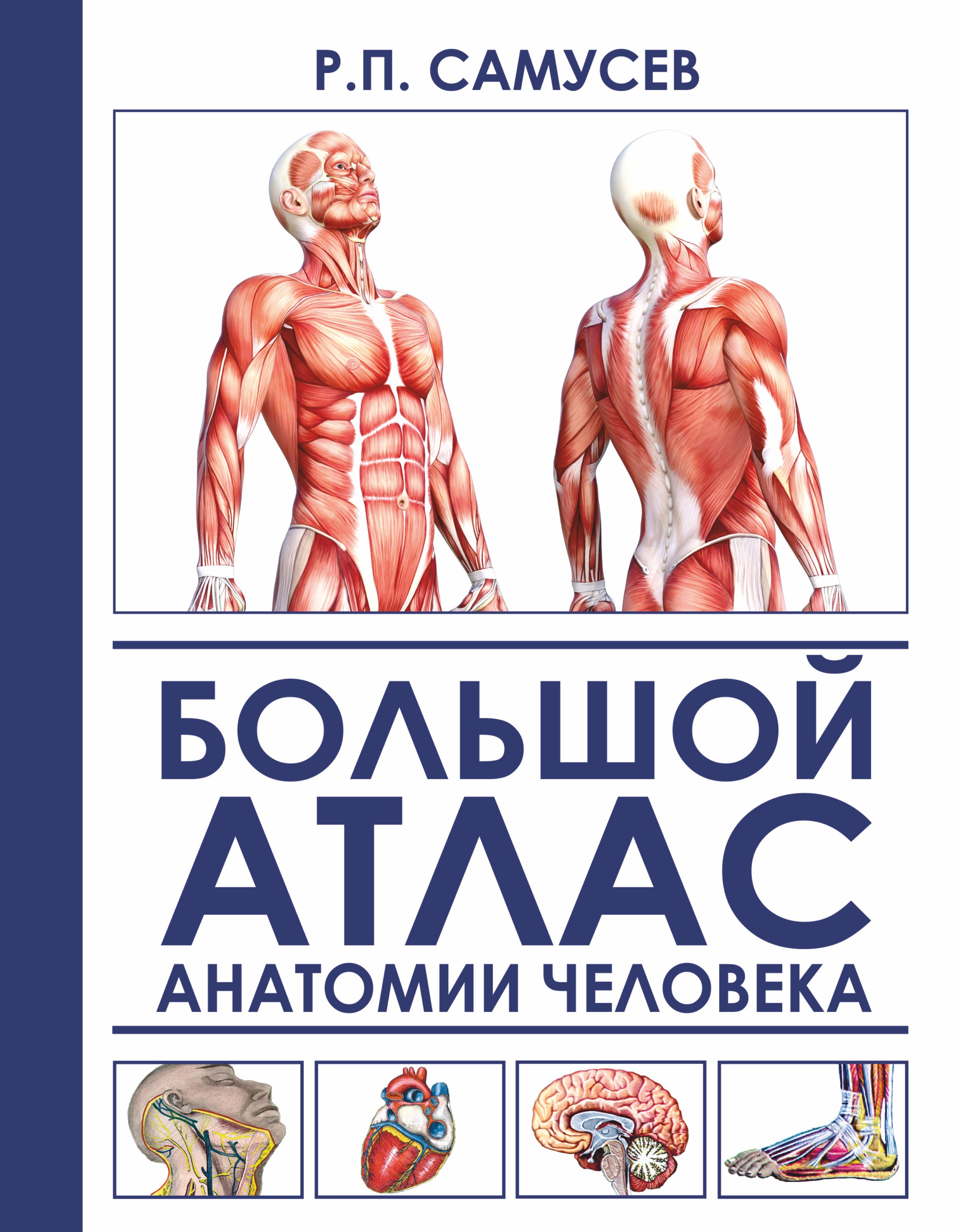 

Большой атлас анатомии человека. 2-е издание, исправленное и дополненное