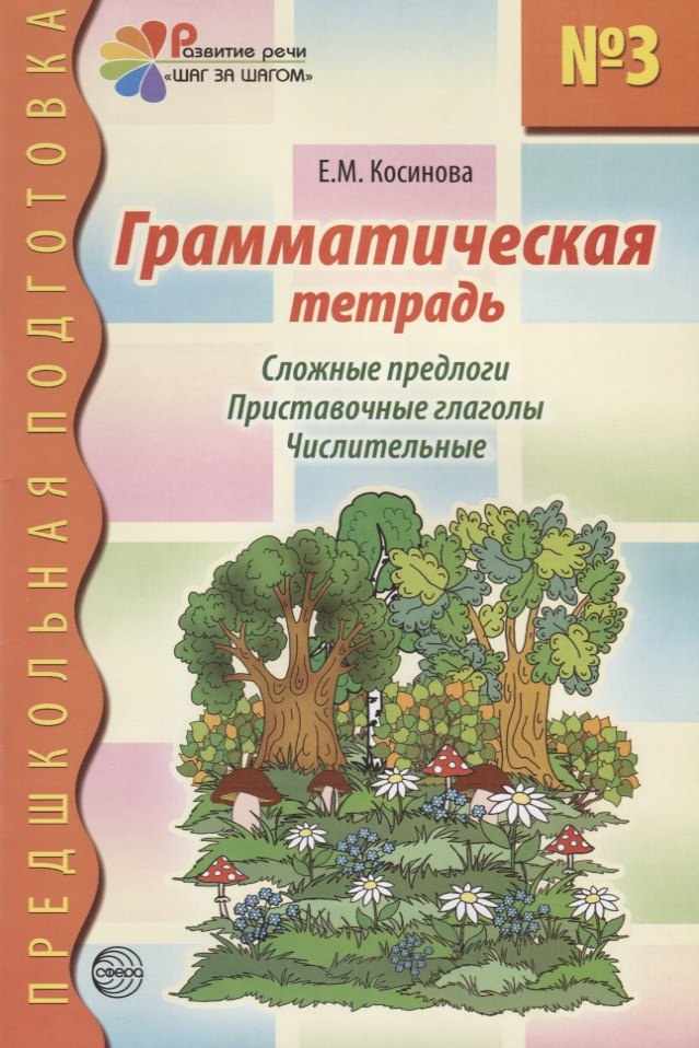 

Грамматическая тетрадь №3 для занятий с дошкольниками