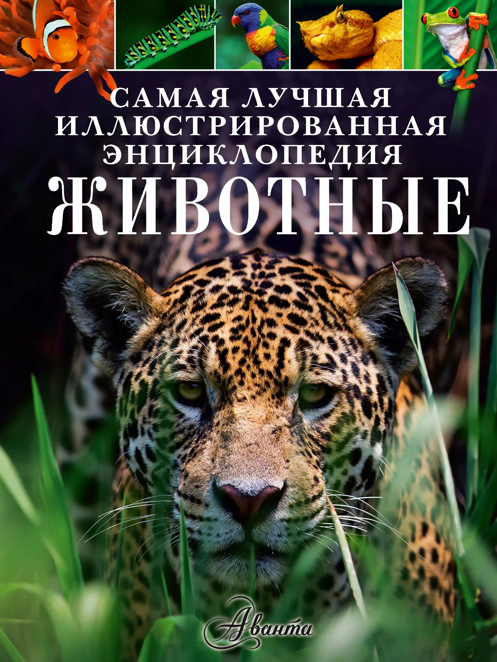 Книги о животных картинки