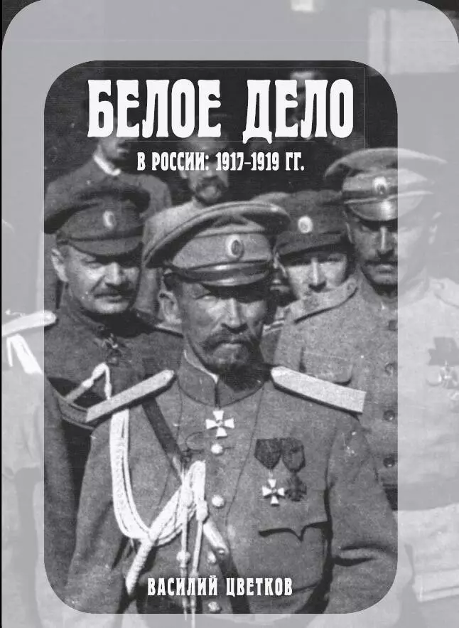 Цветков Василий Жанович - Белое дело в России: 1917-1919 гг.