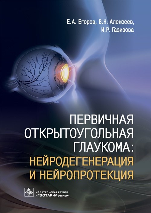 

Первичная открытоугольная глаукома: нейродегенерация и нейропротекция