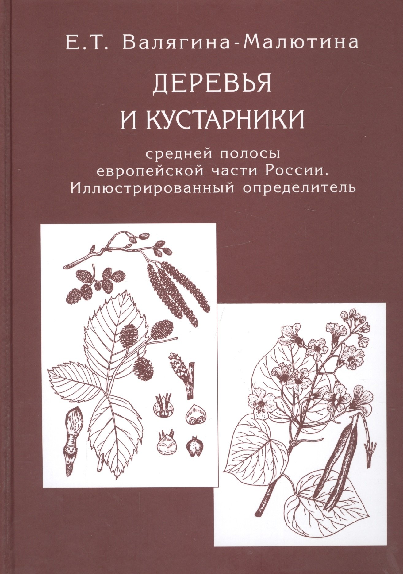 

Деревья и кустарники средней полосы европейской части России: Иллюстрированный определитель