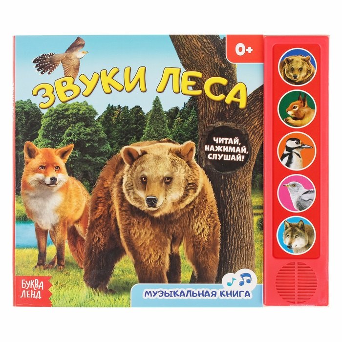 

Звуки леса