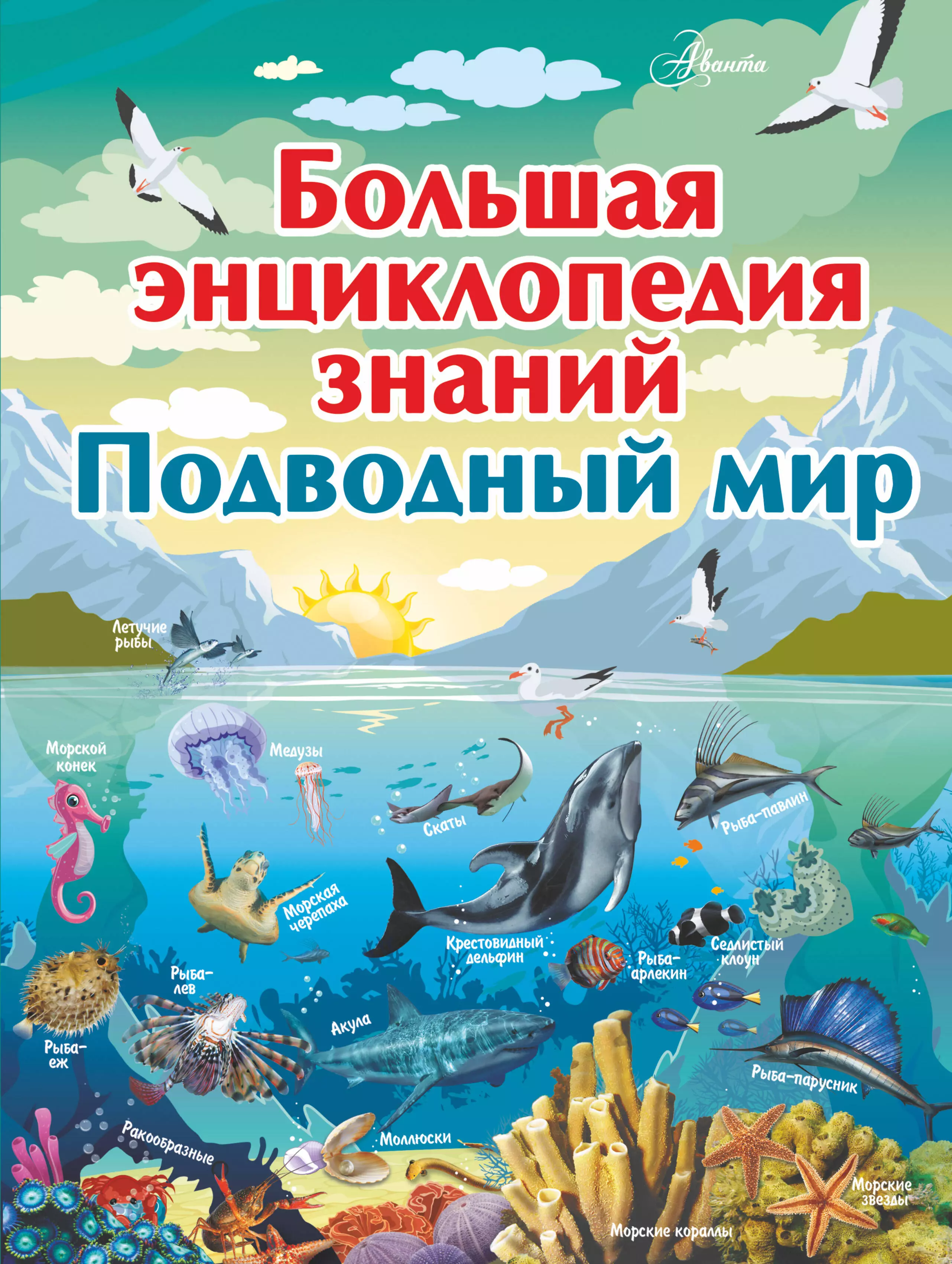 Моря справочник