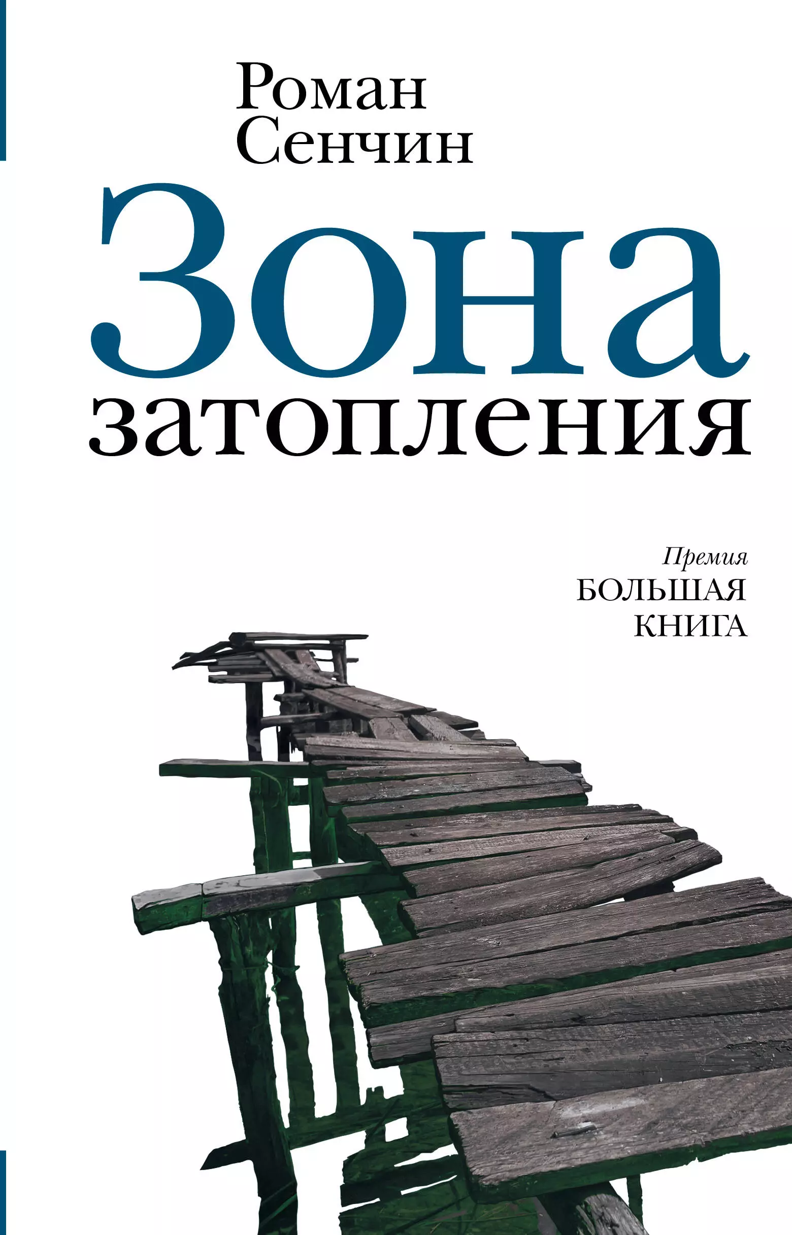 Книга зона. Сенчин, Роман Валерьевич. Зона затопления. Зона затопления книга. Сенчин р.в. 