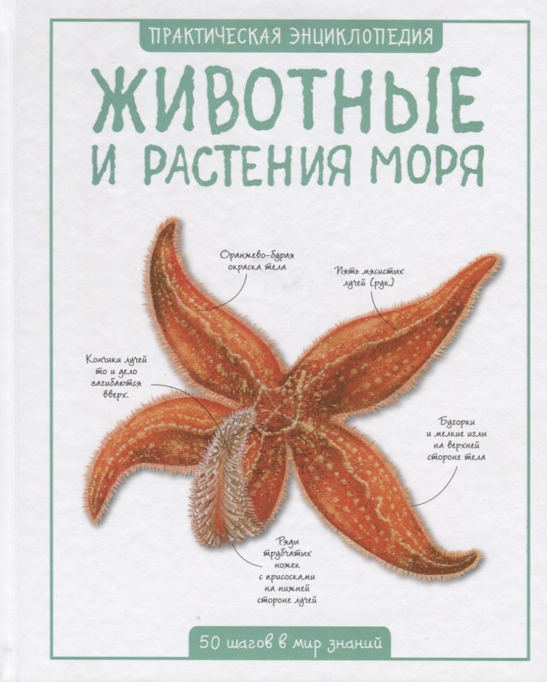 

Животные и растения моря. 50 шагов в мир знаний