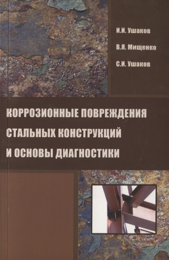 

Коррозионные повреждения стальных конструкций и основы диагностики
