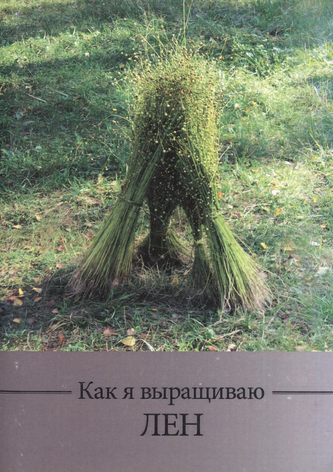 

Как я выращиваю лен. Методическое пособие