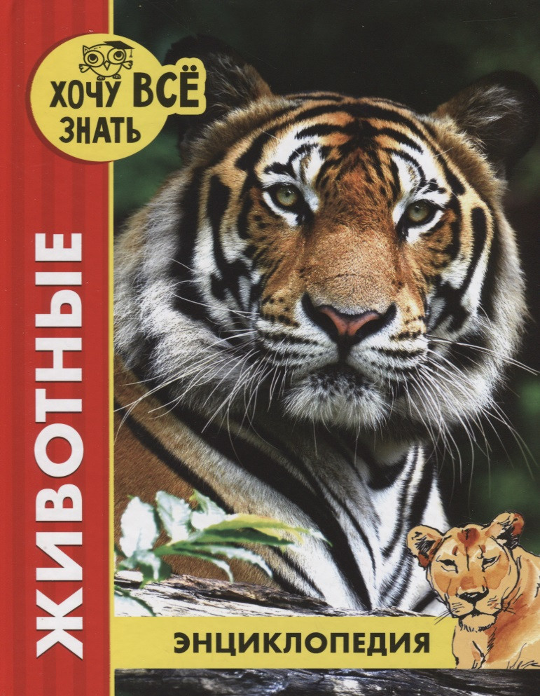 Купить Книгу Энциклопедия