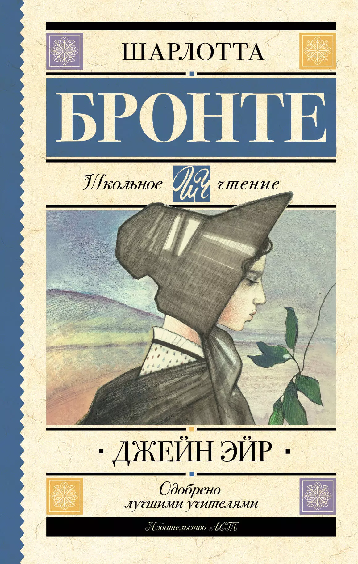 Джейн эйр краткое содержание книги. Джейн Эйр эксклюзивная классика.