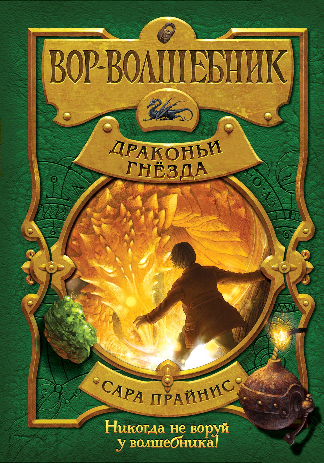 

Вор-волшебник. Драконьи гнезда