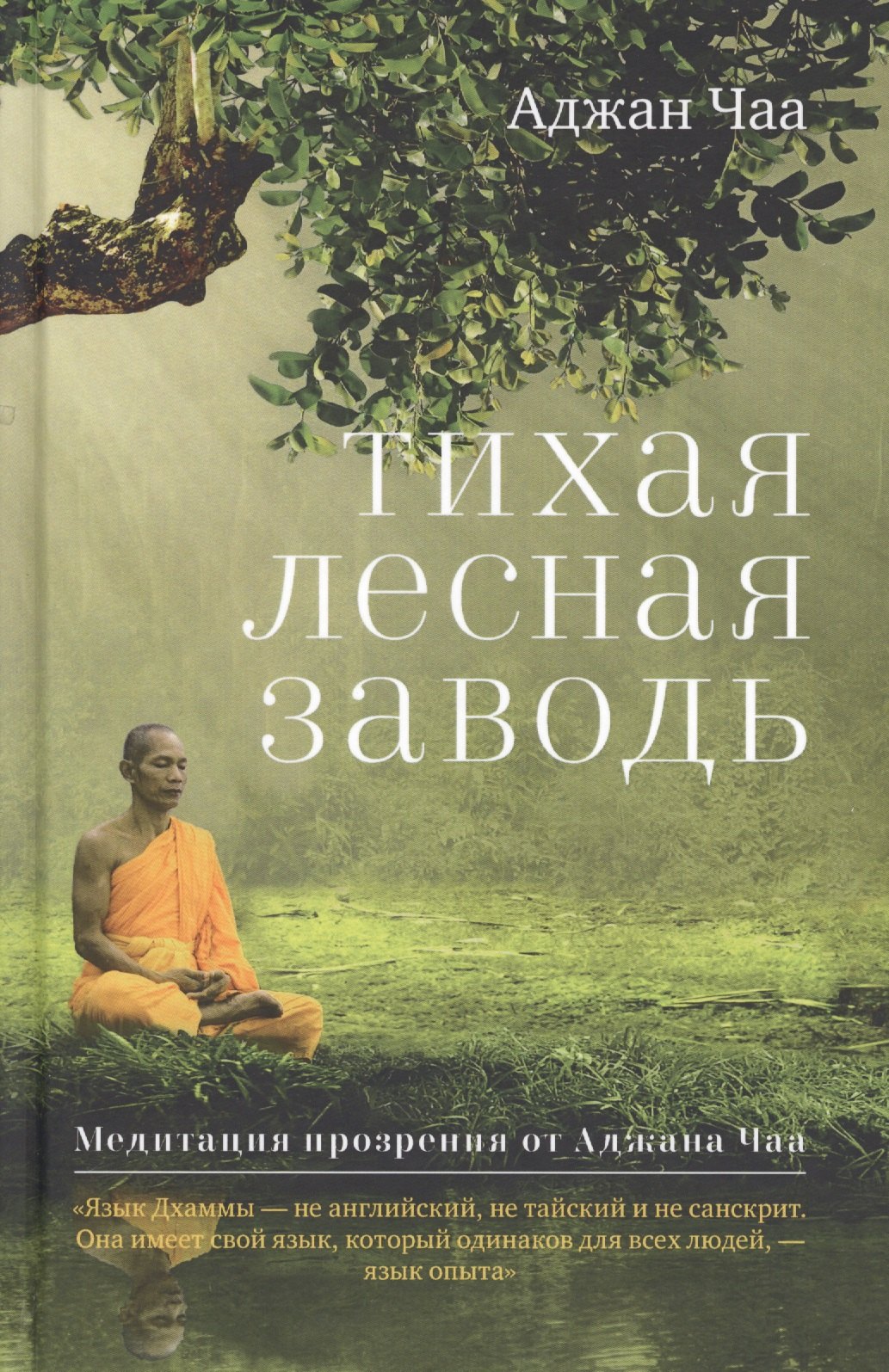 

Тихая лесная заводь. Медитация прозрения от Аджана Чаа