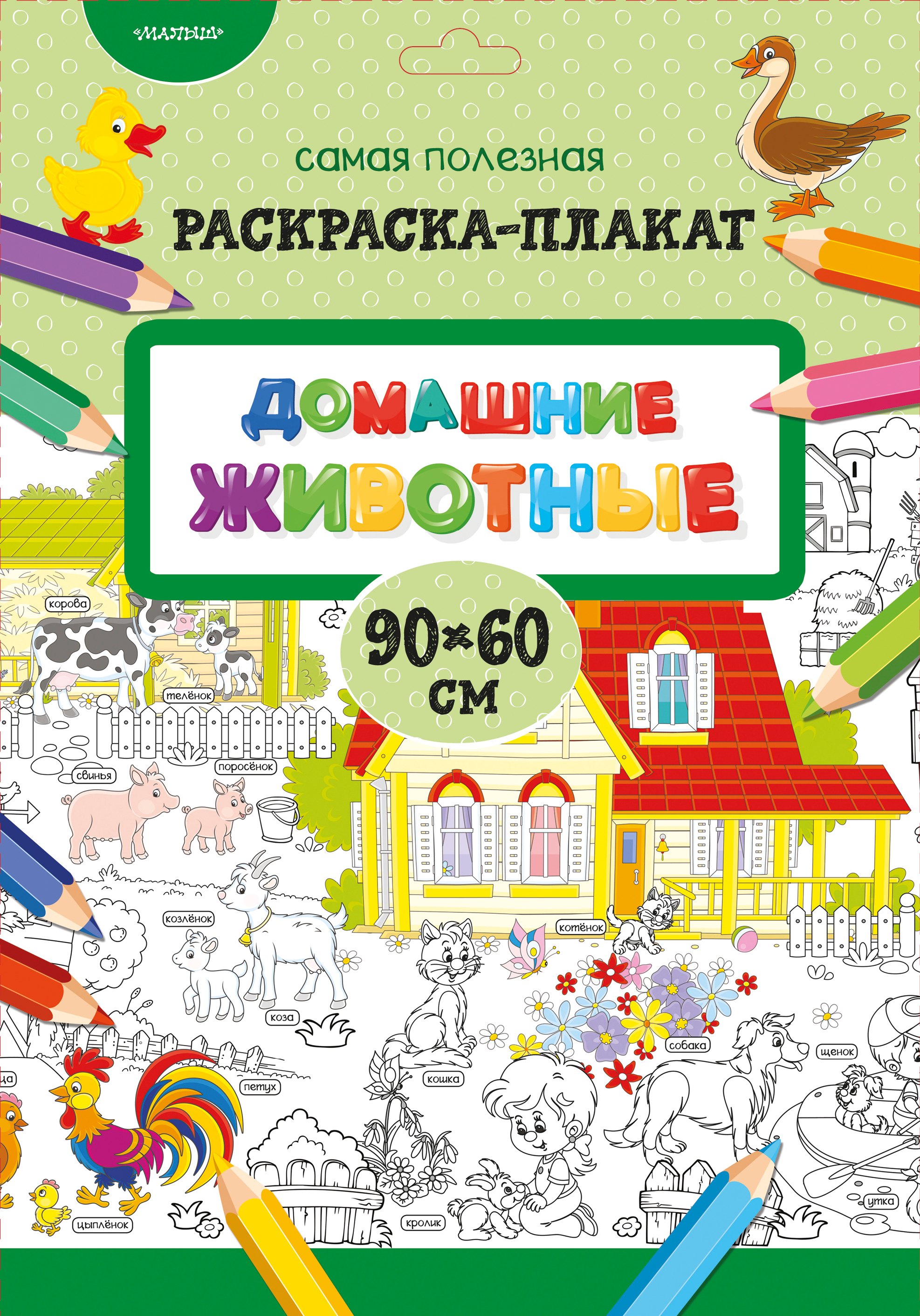 

Домашние животные. Раскраска-плакат