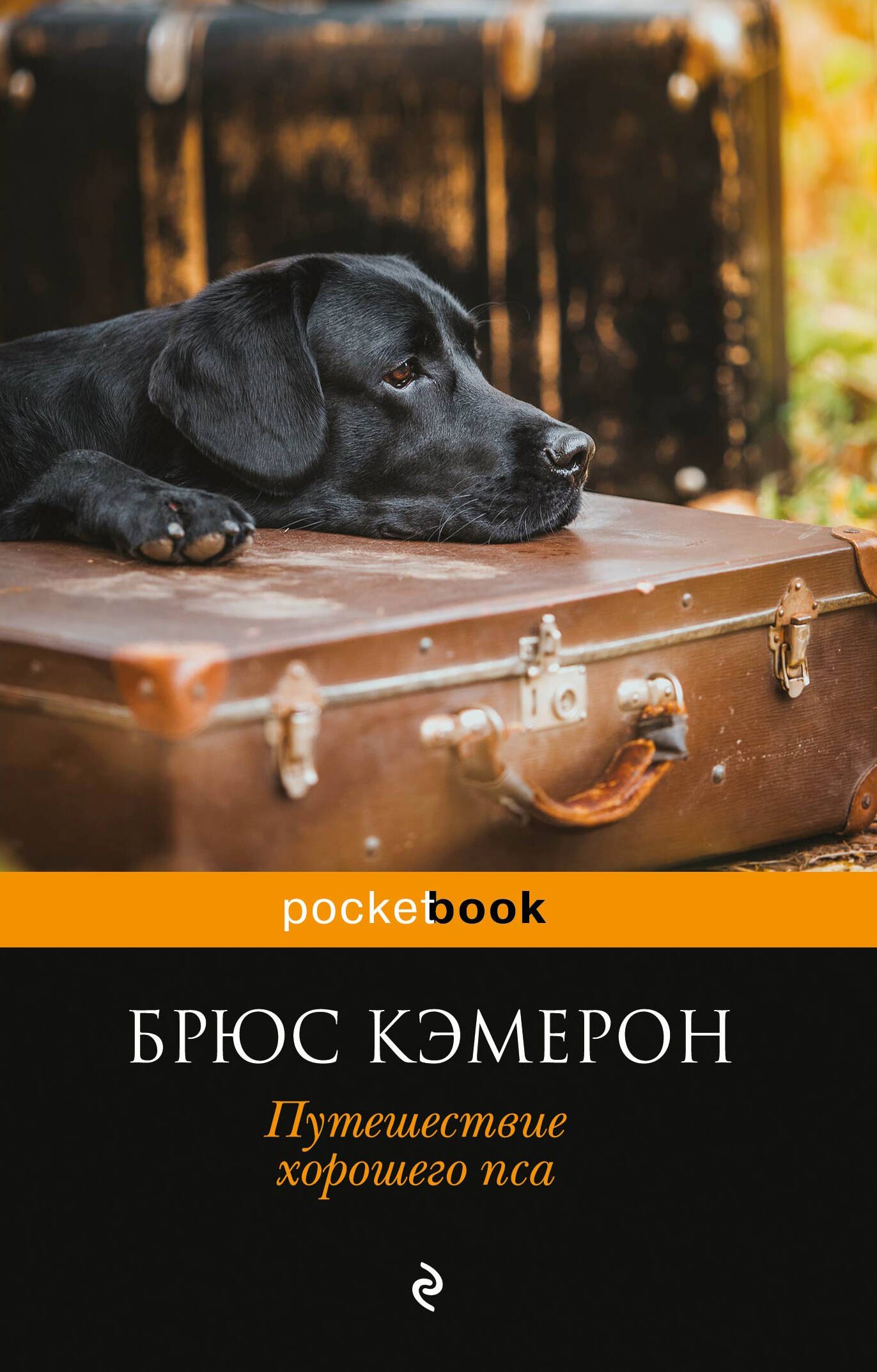 

Я его пес, он мой мальчик: Жизнь и цель собаки, Путешествие хорошего пса (комплект из 2 книг)