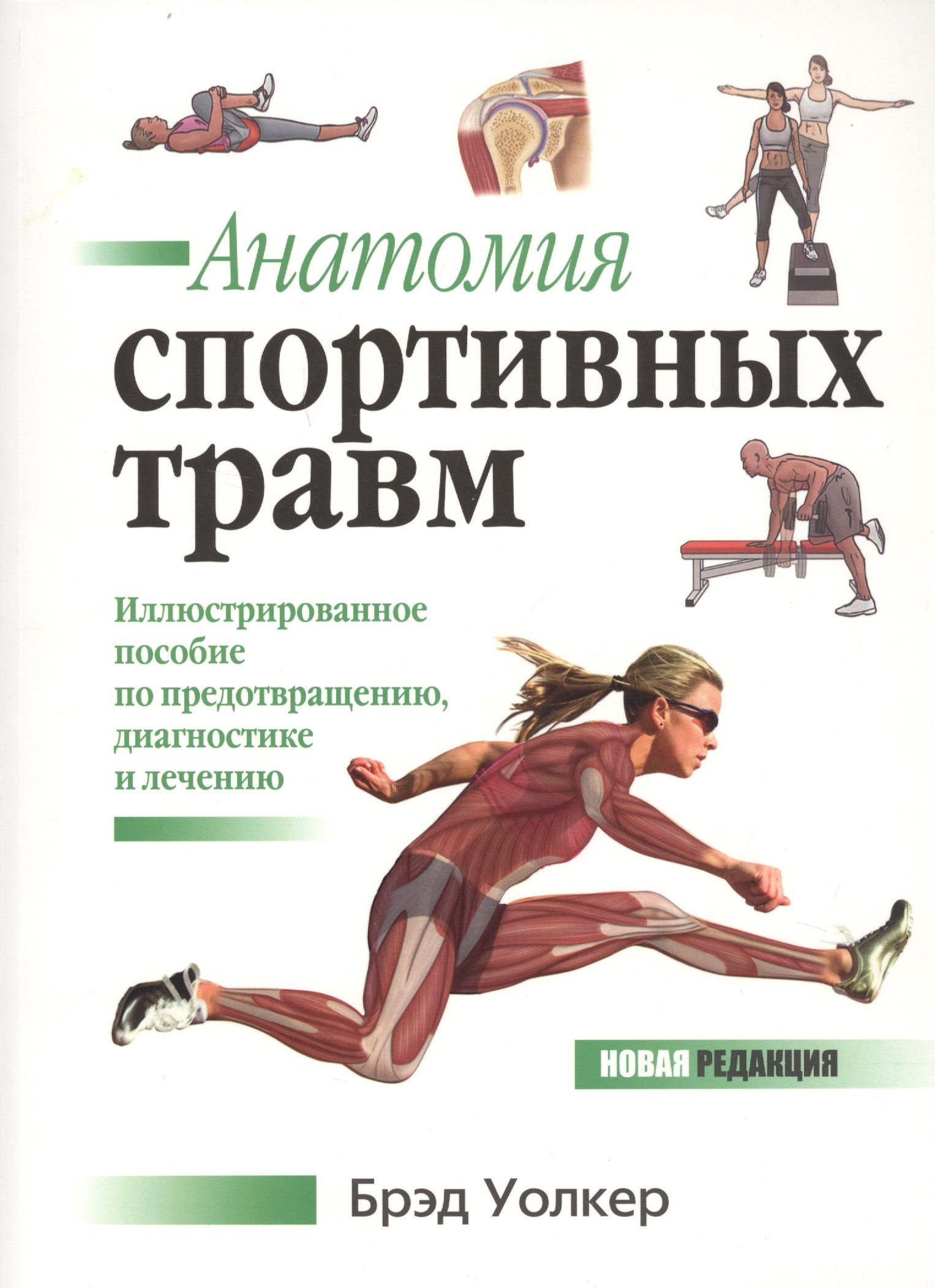 

Анатомия спортивных травм. Иллюстрированное пособие по предотвращению, диагностике и лечению