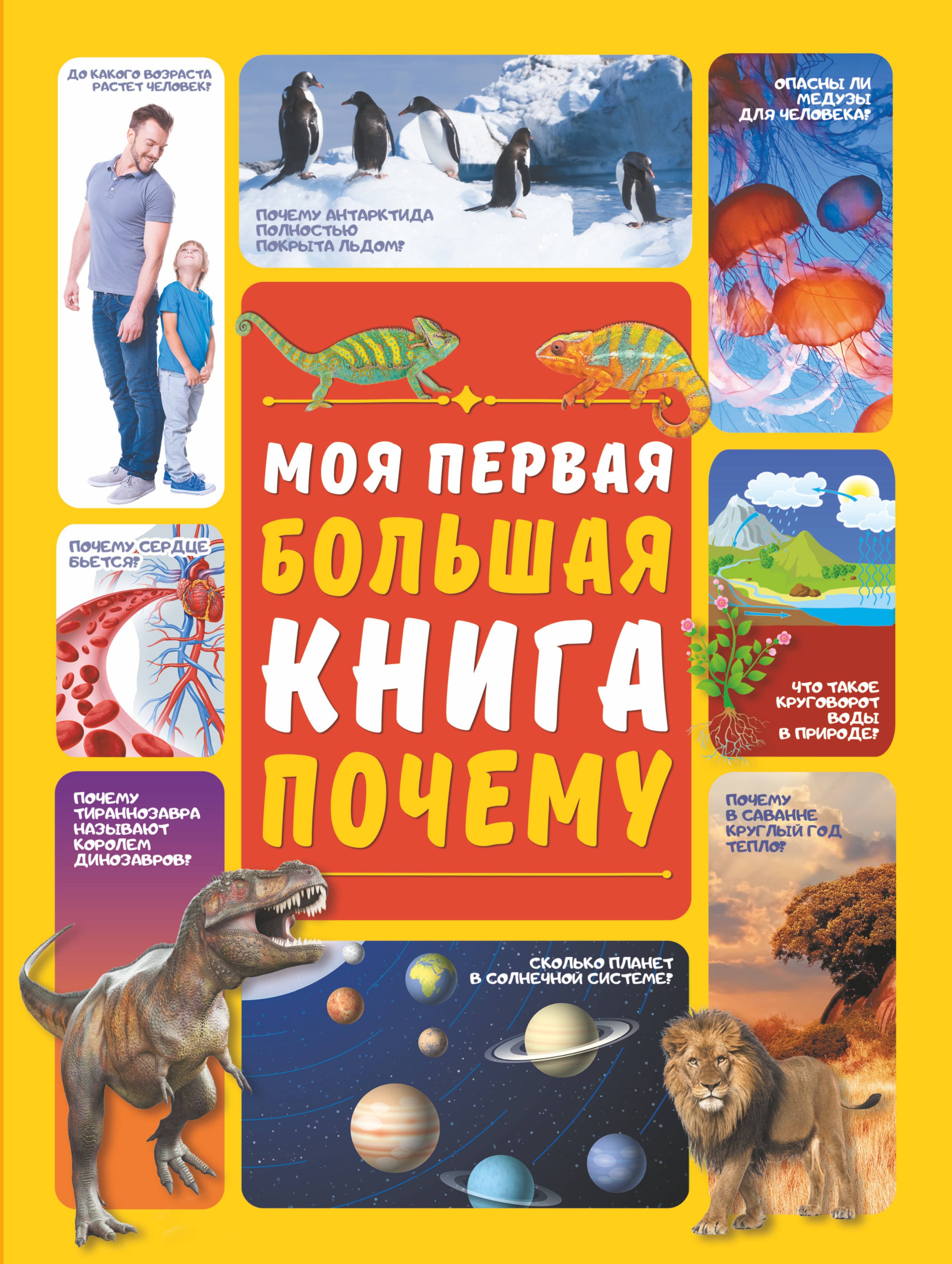 

Моя первая большая книга "Почему"
