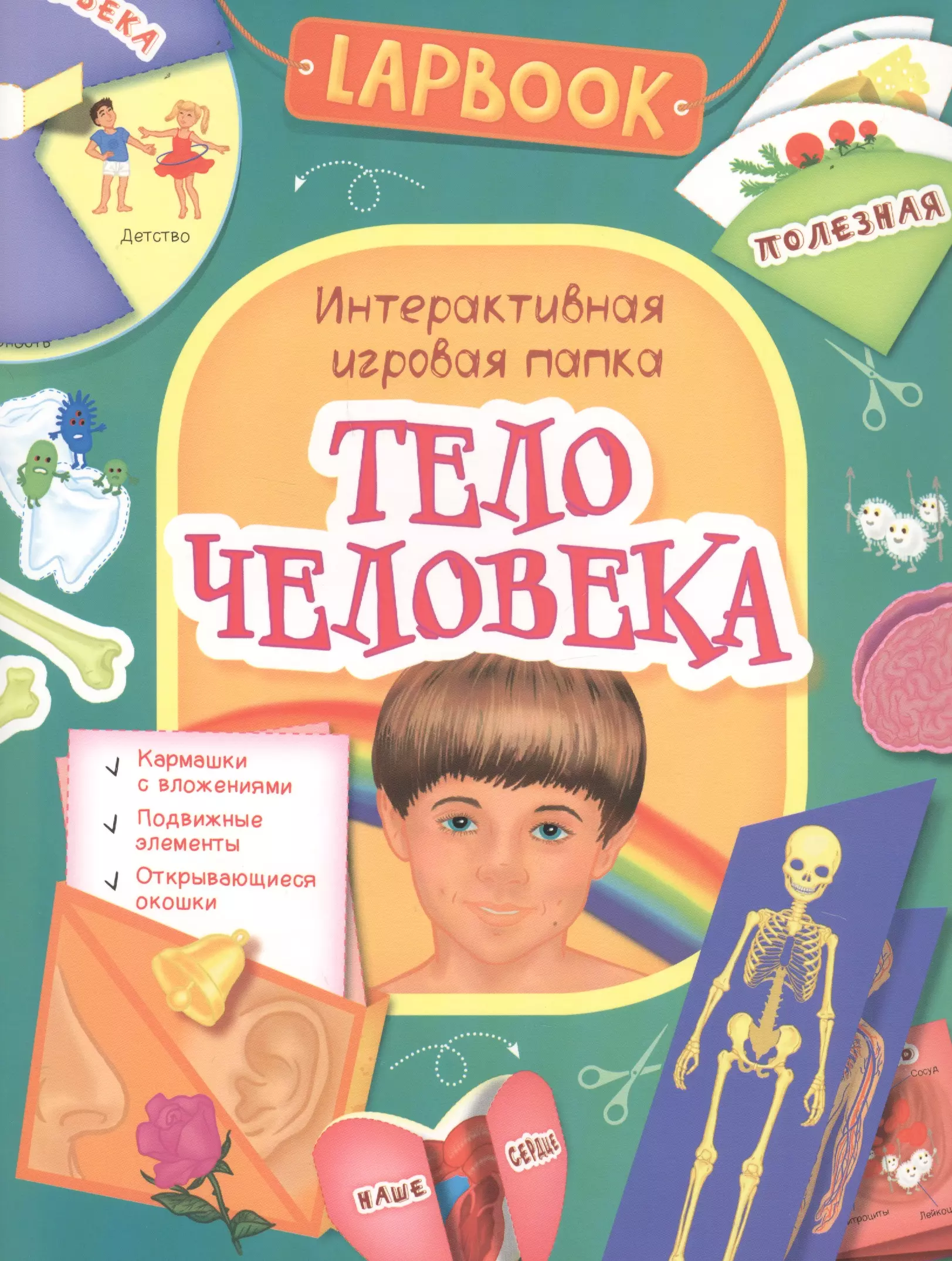 Михеева А., Новикова Е. А. - Тело человека