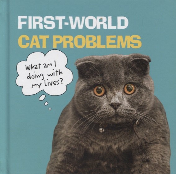 

First World Cat Problems: What Am I Doing with My Lives