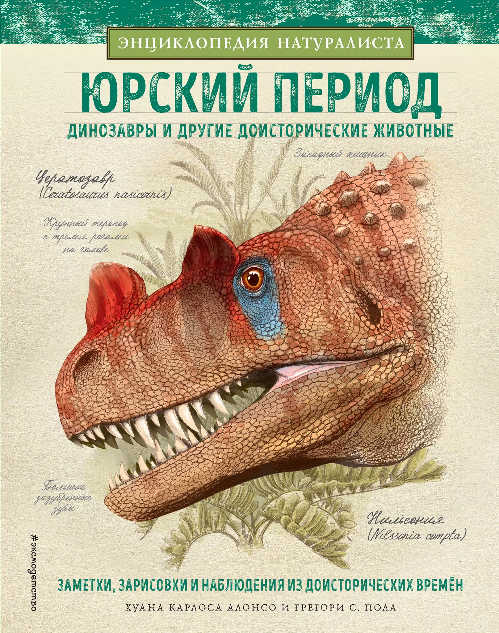 Период книга. Юрский период динозавры и другие доисторические животные Алонсо. Динозавры и другие доисторические животные детская энциклопедия. Книга Юрский период динозавры и другие доисторические животные. Энциклопедия натуралиста Юрский период.