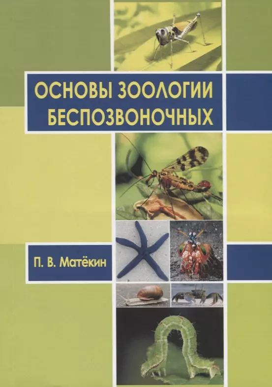 Зоология беспозвоночных. Догель Зоология беспозвоночных. Основы зоологии. Зоология беспозвоночных учебник.