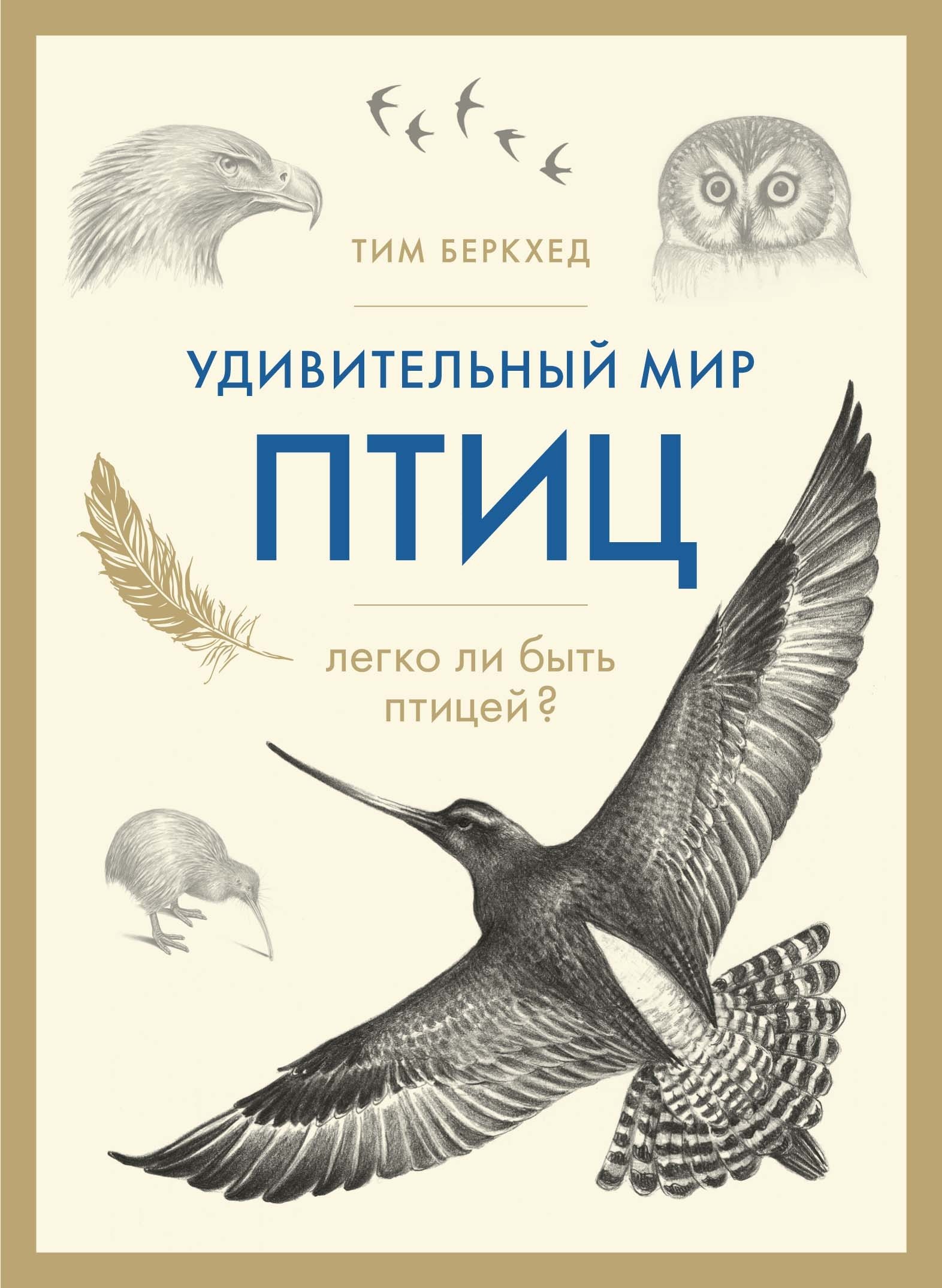 

Удивительный мир птиц: Легко ли быть птицей