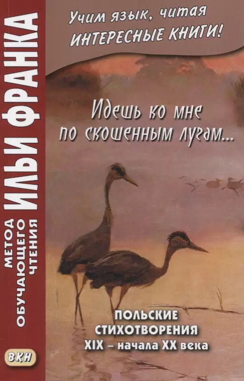 Дачевская-Рапацкая Лариса - Идешь ко мне по скошенным лугам… Польские стихотворения XIX — начала XX века