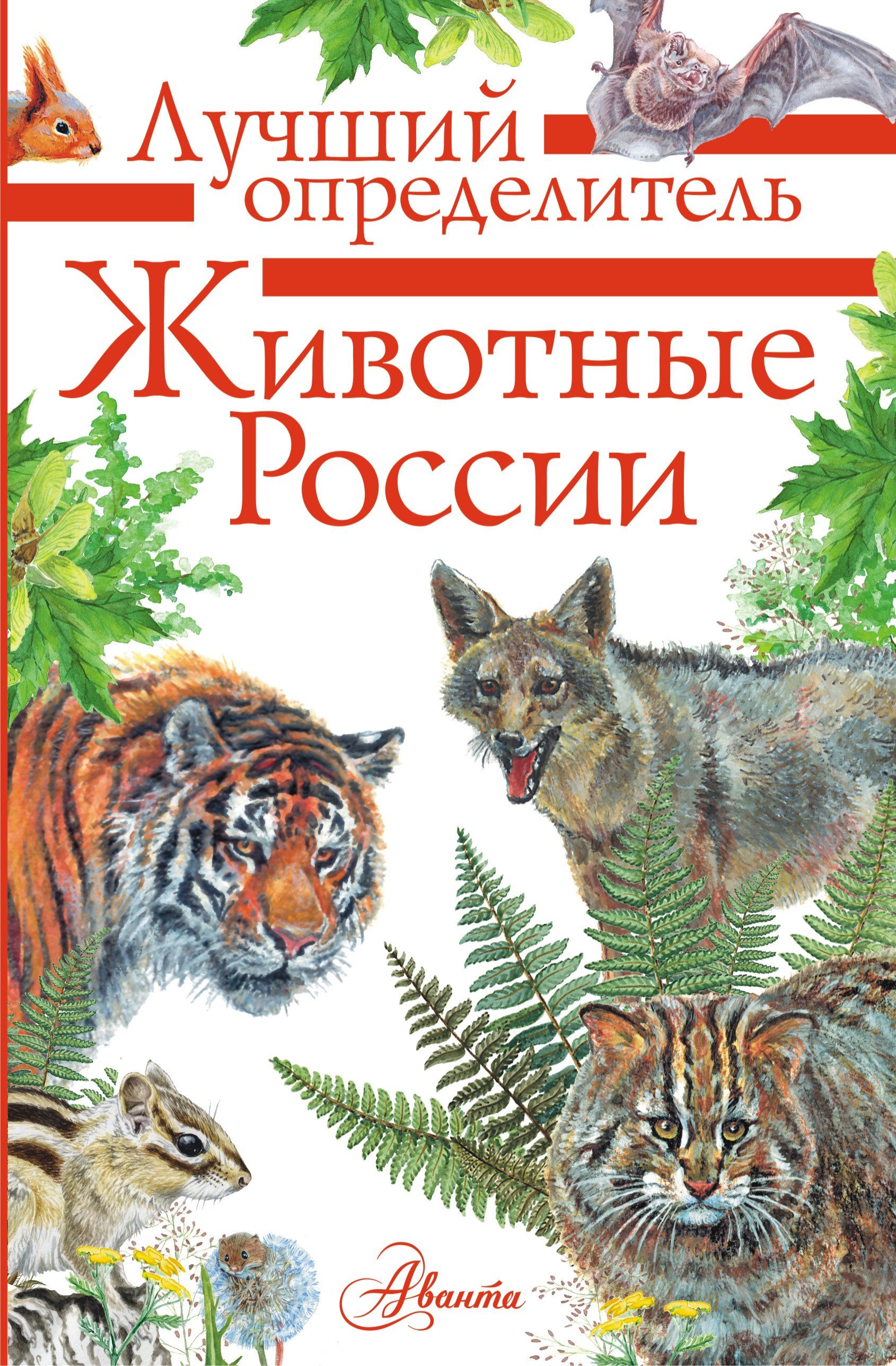 Определитель зверей. Определитель животных книга Волцит Целлариус. Животные России. Определитель. Определитель зверей России. Животные России книга.