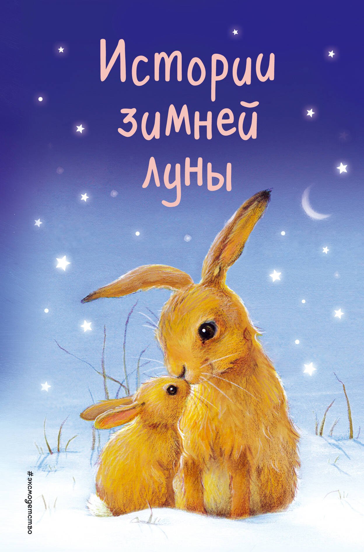 

Истории зимней луны