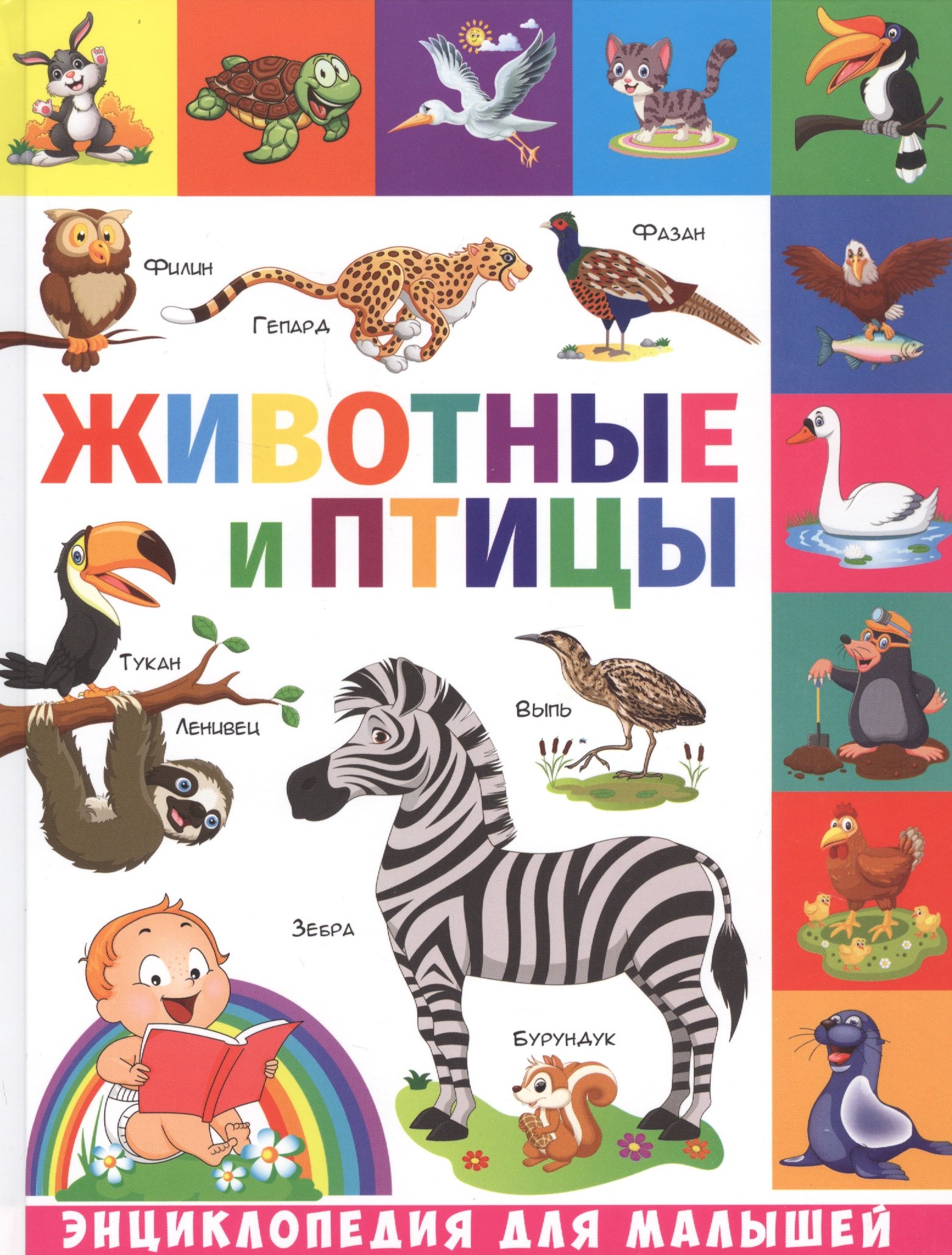 

Животные и птицы
