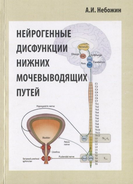 

Нейрогенные дисфункции нижних мочевыводящих путей