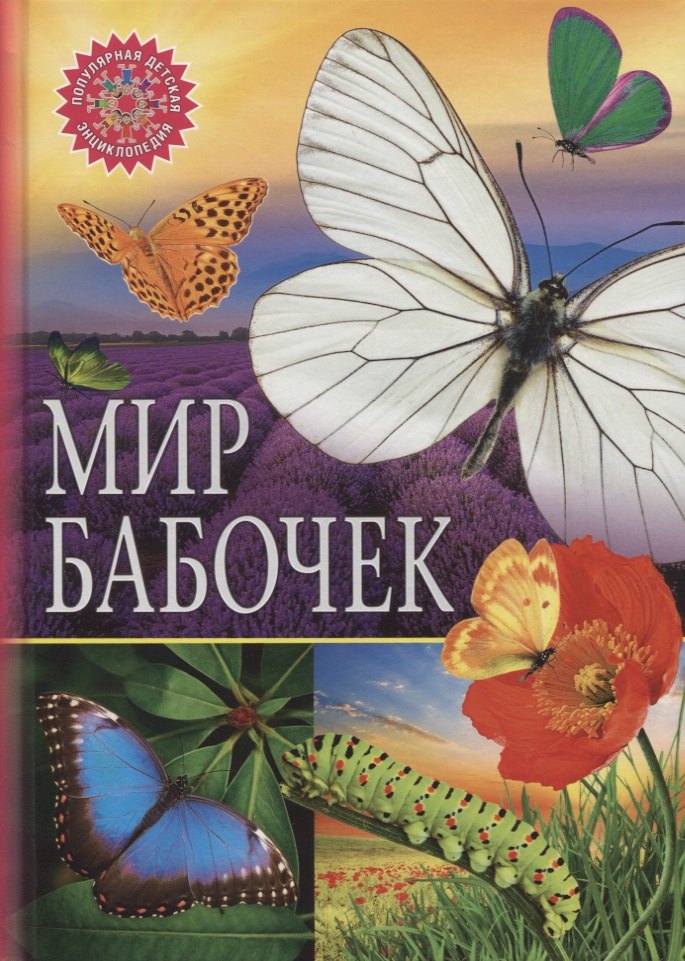 

Мир бабочек