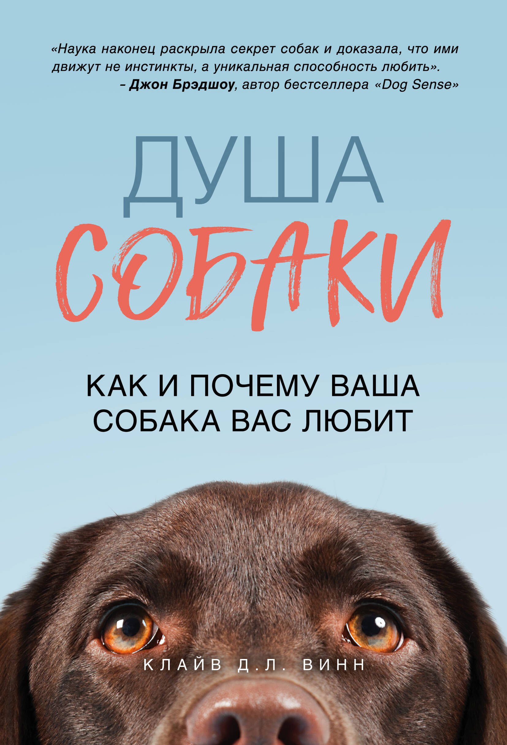 

Душа собаки. Как и почему ваша собака вас любит