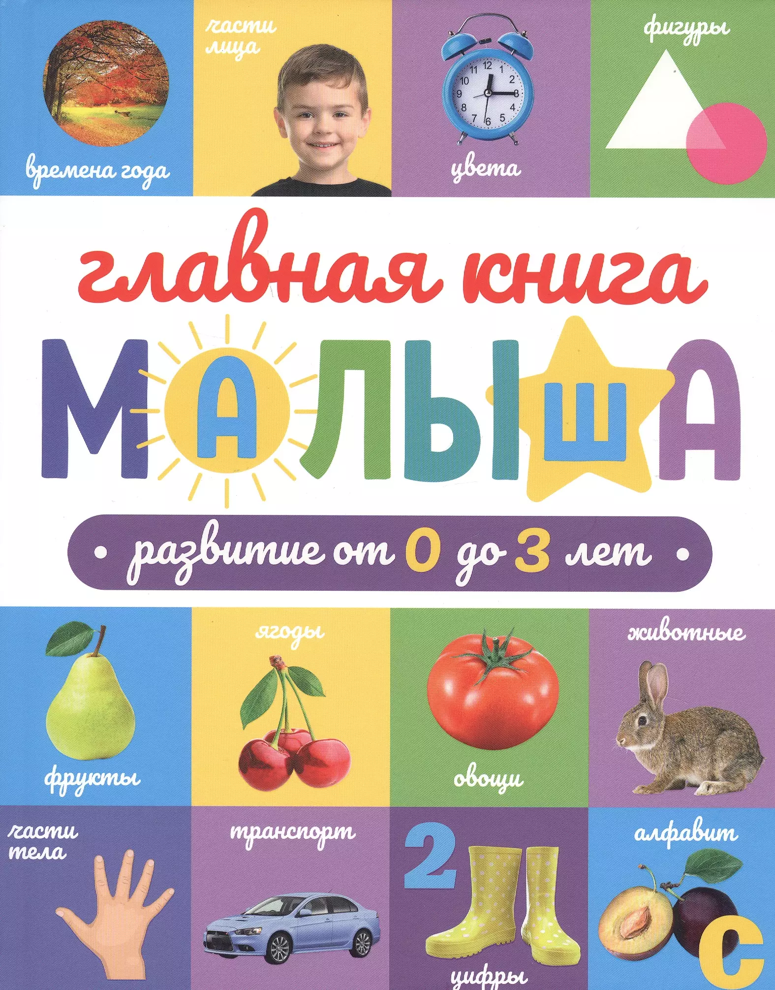  - Главная книга малыша. Развитие от 0 до 3 лет