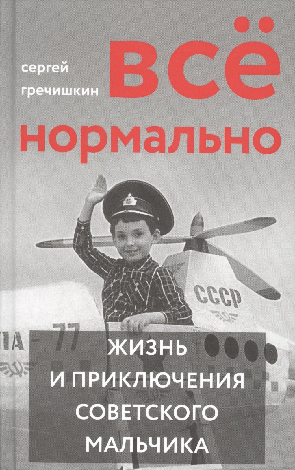 

Все нормально. Жизнь и приключения советского мальчика