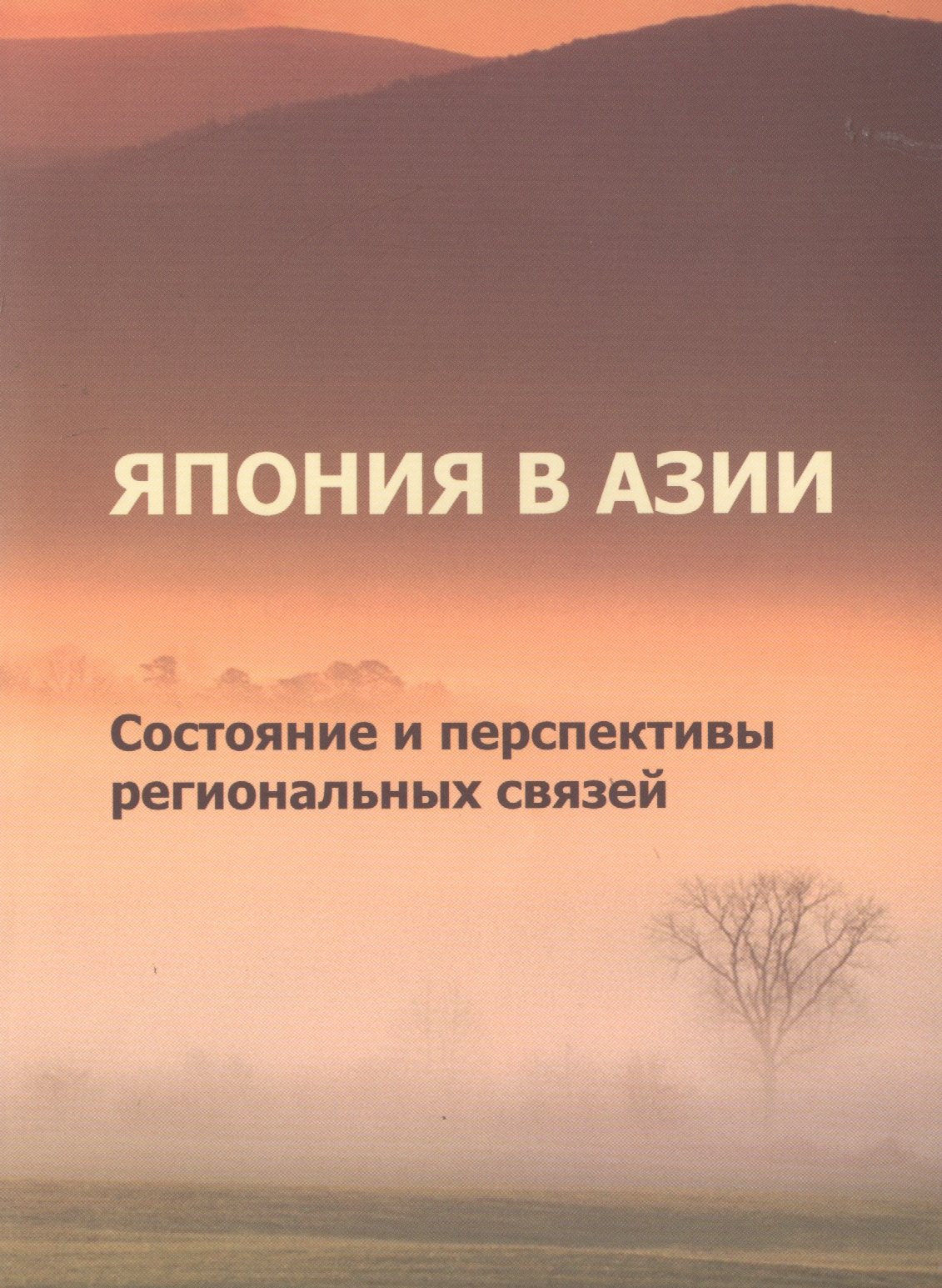 

Япония в Азии. Состояние и перспективы региональных связей