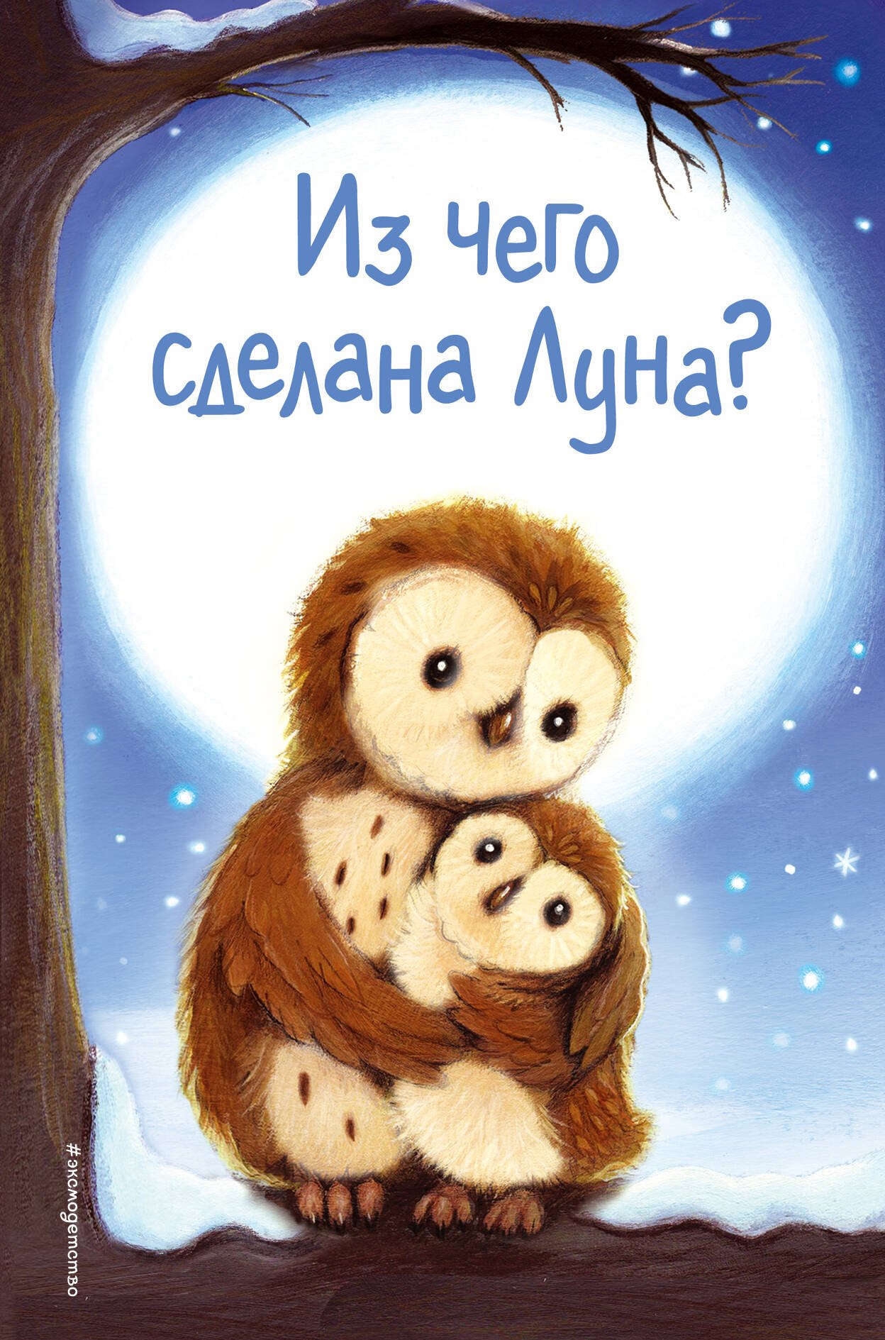 

Из чего сделана Луна