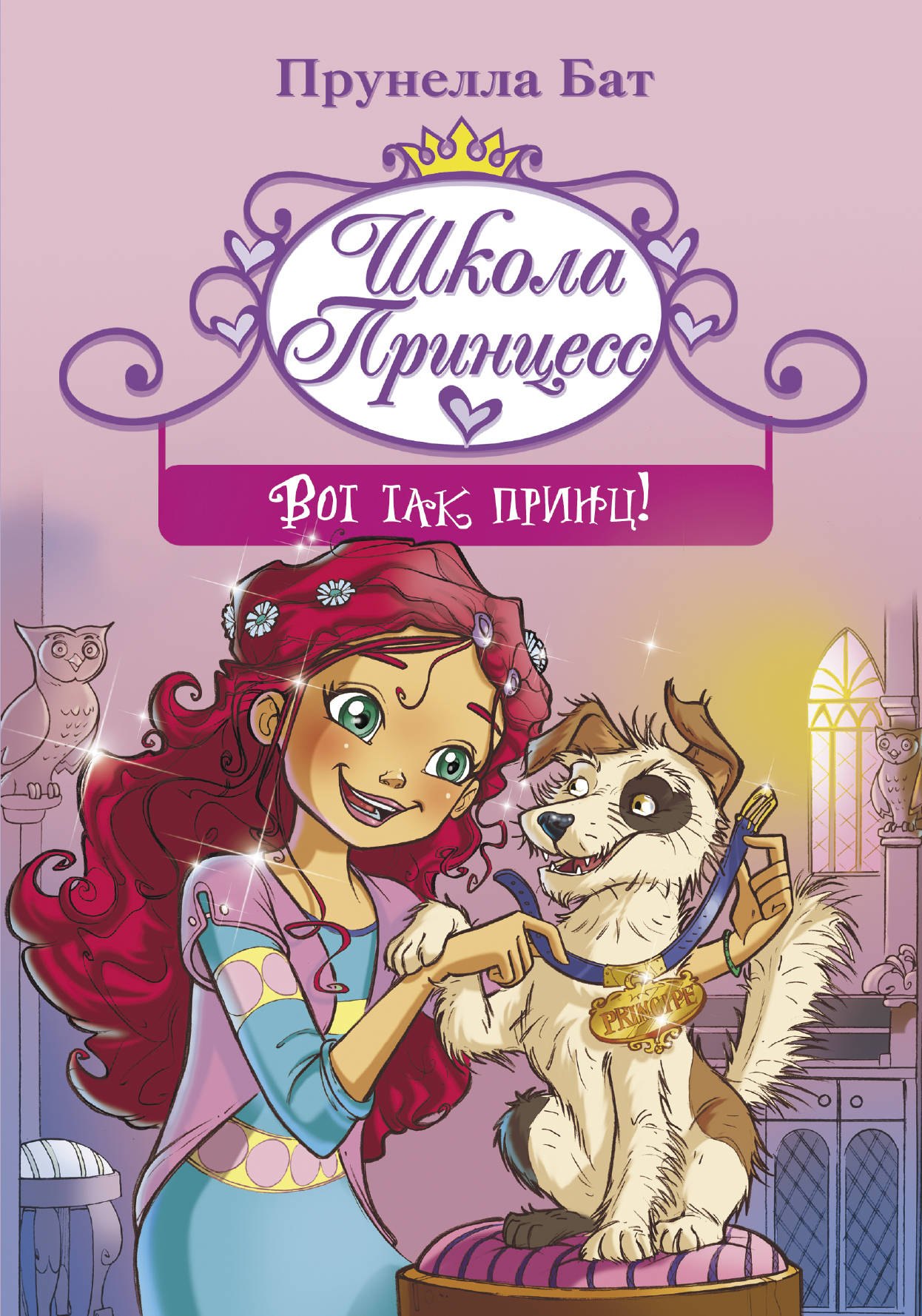 

Школа принцесс. Вот так принц!