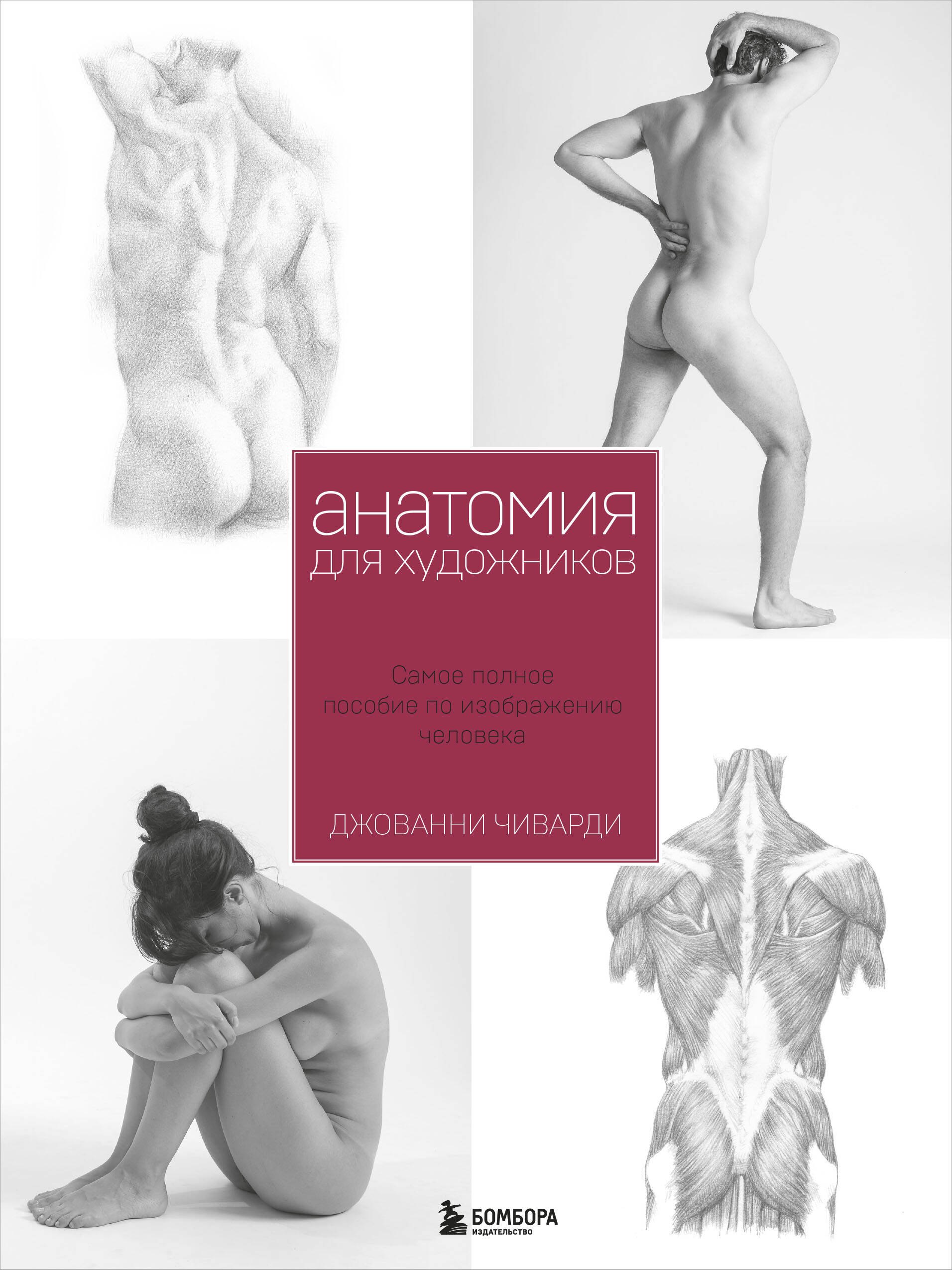 

Анатомия для художника. Самое полное пособие по изображению человека
